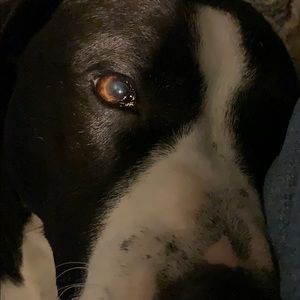 Meet your Posher, Cheri a